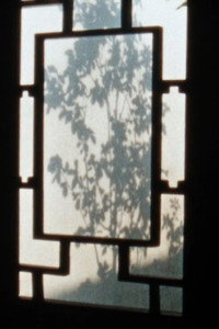 Shanghai Notebook (2018) poster