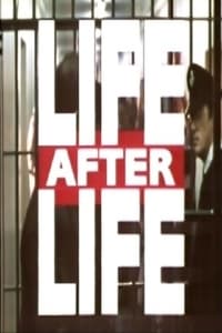 Poster de Life After Life