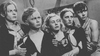 «Молодая гвардия (1948)» — обои к фильму #1