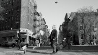 «Луи (2010 - 2015)» — обои к сериалу #2