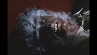 Le Loup-Garou de Washington