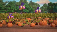 Leaping into Fall
