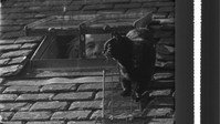 «Это моя земля (2007)» — обои к фильму #1