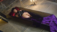 «Draculya, the Girls are Hungry (2006)» — обои к фильму #1