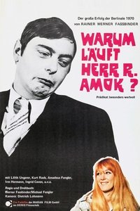 Poster de Warum läuft Herr R. Amok?