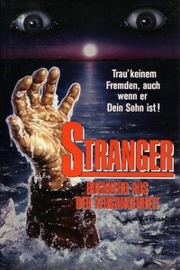 Movieposter Stranger – Rückkehr aus der Vergangenheit