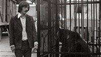 «Дикий Гаврила (1976)» — обои к фильму #2