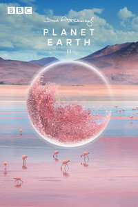 Постер сериала «Планета Земля 2 (2016)» — (12 из 44)