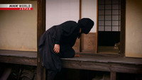 Ninja Arts Inspired by the Animal Kingdom