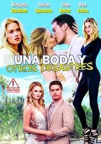Poster de Una Boda y Otros Desastres