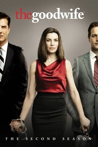 The Good Wife 2×1