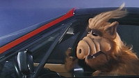Baby, You Can Drive My Car