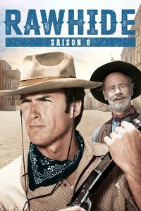 Saison 8