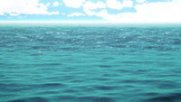 The Endless Summer