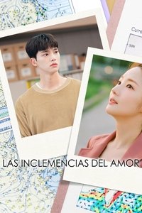 Poster de Las inclemencias del amor