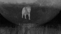 «Birth of a Pride (2018)» — обои к фильму #2