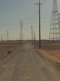 緑の親玉 (2026) poster