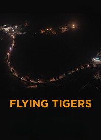 Flying Tigers
