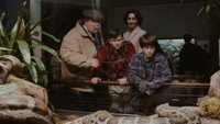 Обои к фильму «Гарри Поттер и философский камень (2001)» — (56 из 172)
