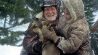 «Возвращение Белого Клыка (1974)» — обои к фильму #3