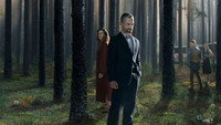 «В густом лесу (2020)» — обои к сериалу #1