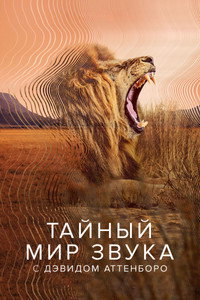 Постер сериала «Тайный мир звуков с Дэвидом Аттенборо (2024)» — (8 из 21)
