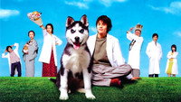 «Dôbutsu no oisha-san (2003)» — обои к сериалу #1