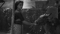 «Разные судьбы (1992)» — обои к фильму #2