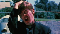 «Electric Shades of Grey (2001)» — обои к фильму #1