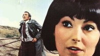 «Свидетель должен замолчать (1974)» — обои к фильму #1