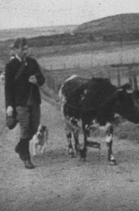 A Cattle Sale (1932) poster