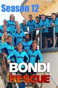 Season 12 Poster