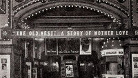 «The Old Nest (1921)» — обои к фильму #1