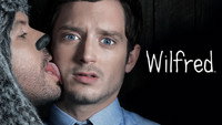 «Уилфред (2011 - 2014)» — обои к сериалу #7