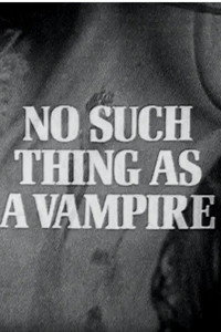 No Such Thing as a Vampire