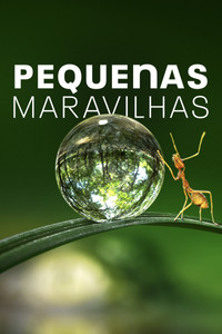 Pequenas Maravilhas S02E06