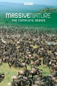 Poster de Massive Nature