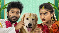 «Slum Dog Husband (2023)» — обои к фильму #4
