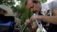 «My Italy (2016)» — обои к фильму #1