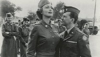 «Френсис и девушки в форме (1954)» — обои к фильму #1