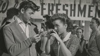 «Сердечные дела Доби Гиллиса (1953)» — обои к фильму #1