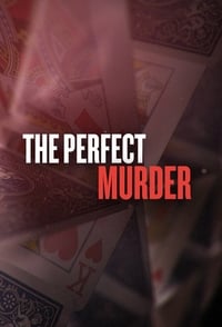 copertina serie tv The+Perfect+Murder 2014