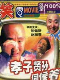 Poster de 孝子贤孙伺候着