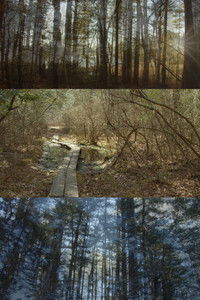 Imagem do Filme Pathways