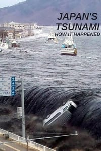 Japan's Tsunami: How It Happened (2011)