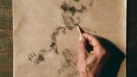 The Role of Chance