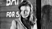«Кейптаунская афёра (1967)» — обои к фильму #1