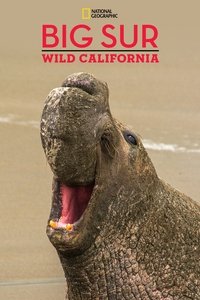 Poster de Big Sur-Wild California