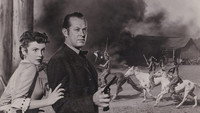 «Самый крутой человек в Аризоне (1952)» — обои к фильму #1