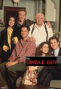 The Single Guy (1995)